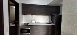 Sims Urban Oasis (D14), Condominium #620663731